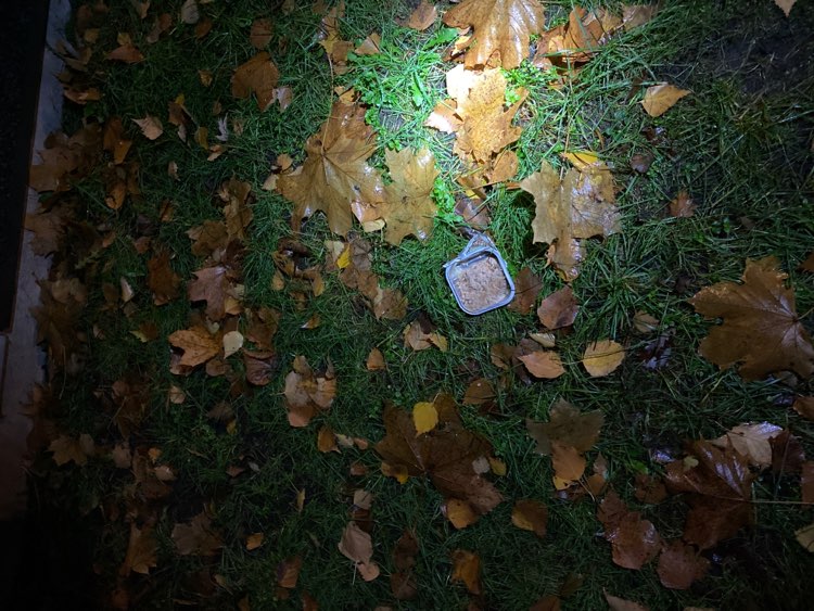 Giftköder-Gift o.ä. in Nähe von Hundeauslaufzone-Profilbild