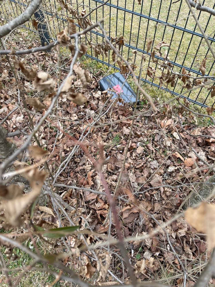 Giftköder-Rattengift-Profilbild