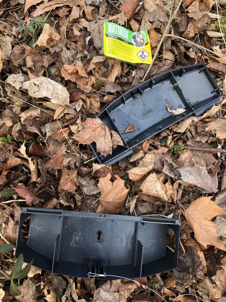 Giftköder-Rattengiftköder-Profilbild