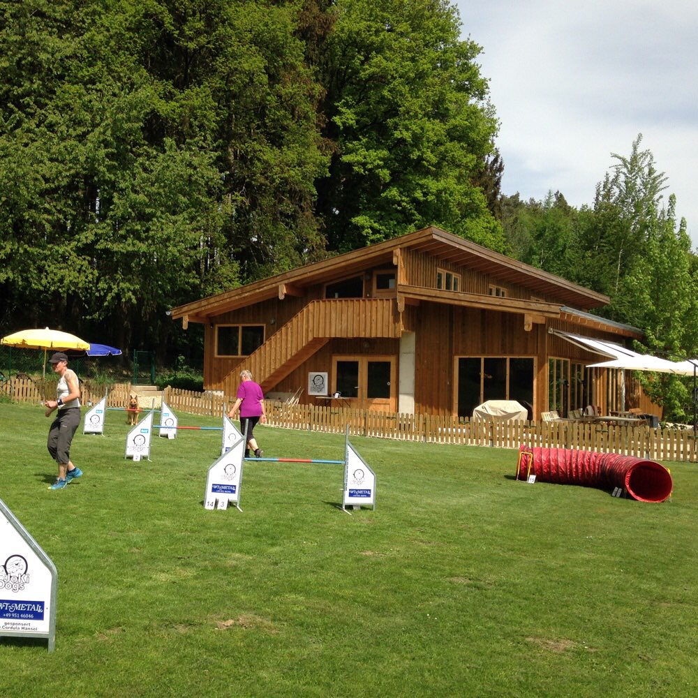 Hundetreffen-Agility, Hoopers, Rally Obedience, Dogdance, JoKility-Profilbild