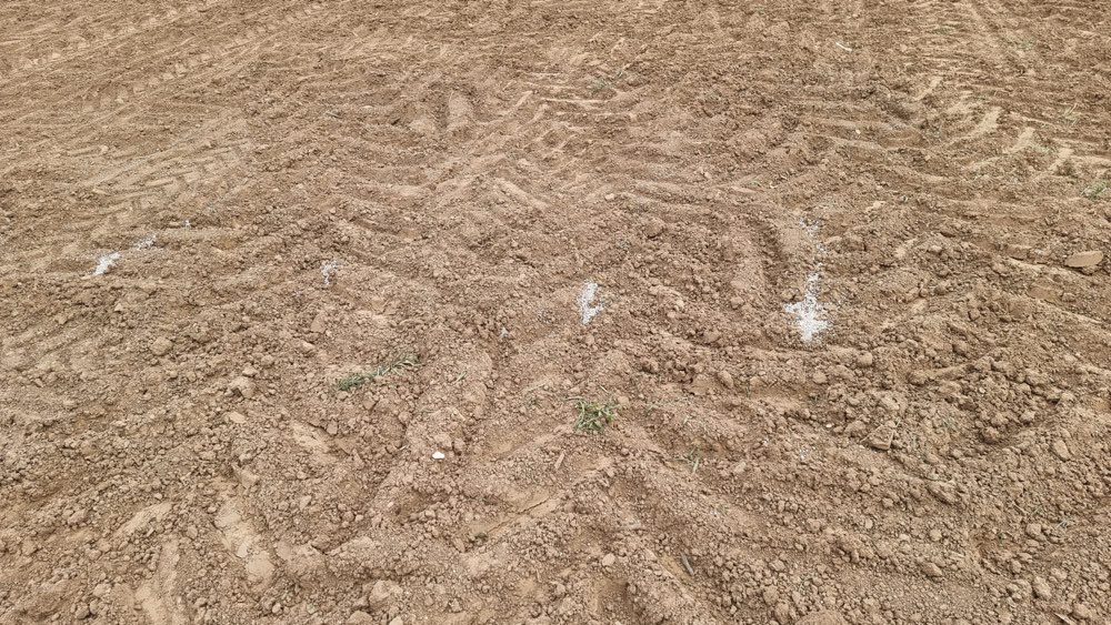 Giftköder-Weißes Pulver/Granulat-Profilbild