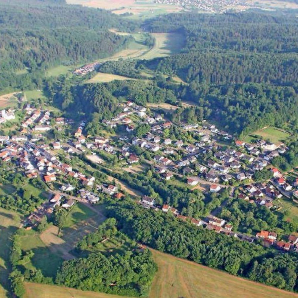 Hundetreffen-Welpen/Junghunde -Gassi Treffen-Profilbild