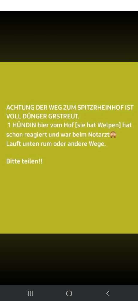 Giftköder-DÜNGER-Profilbild