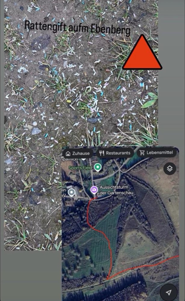 Giftköder-Rattengift Ebenberg-Profilbild