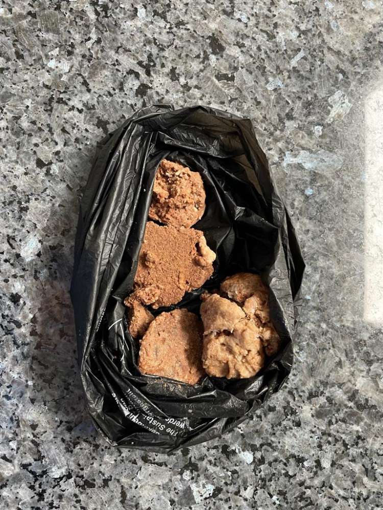 Giftköder-Achtung Giftköder in der Jessingstraße-Profilbild