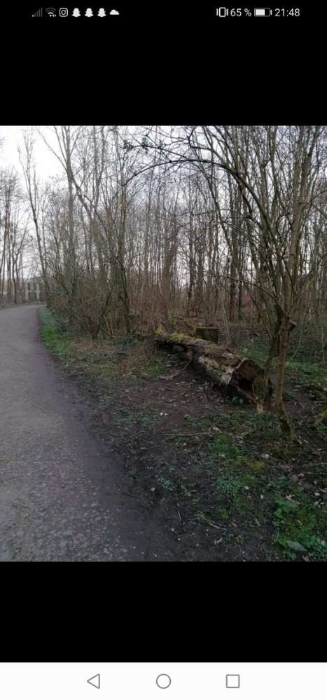 Giftköder-Essensreste mit Glasscherben-Profilbild