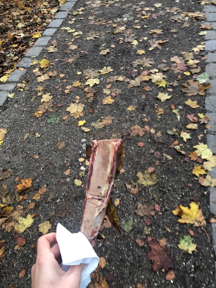 Giftköder-Knochen/ Fleischstück-Profilbild