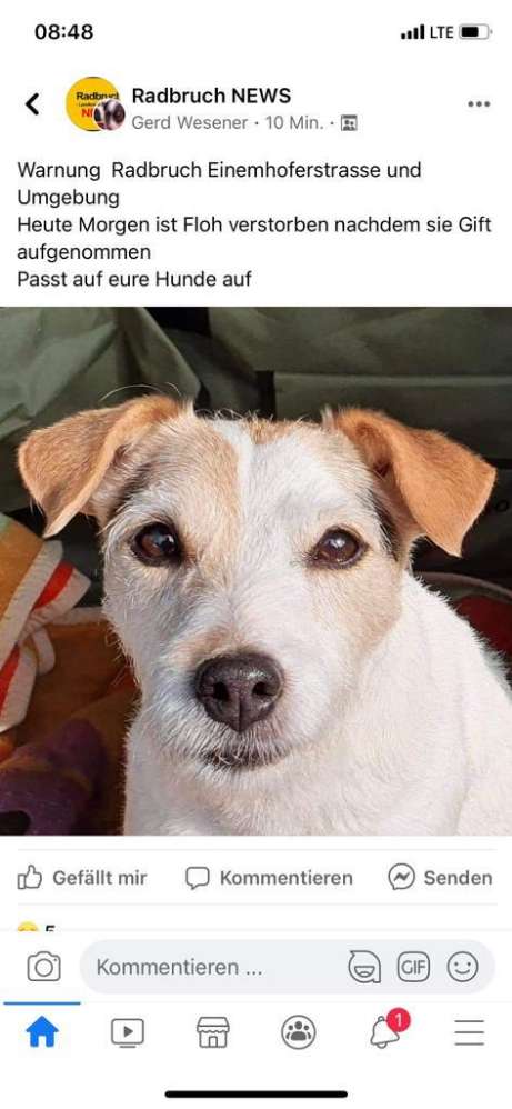 Giftköder-Gift, Form nicht bekannt-Profilbild