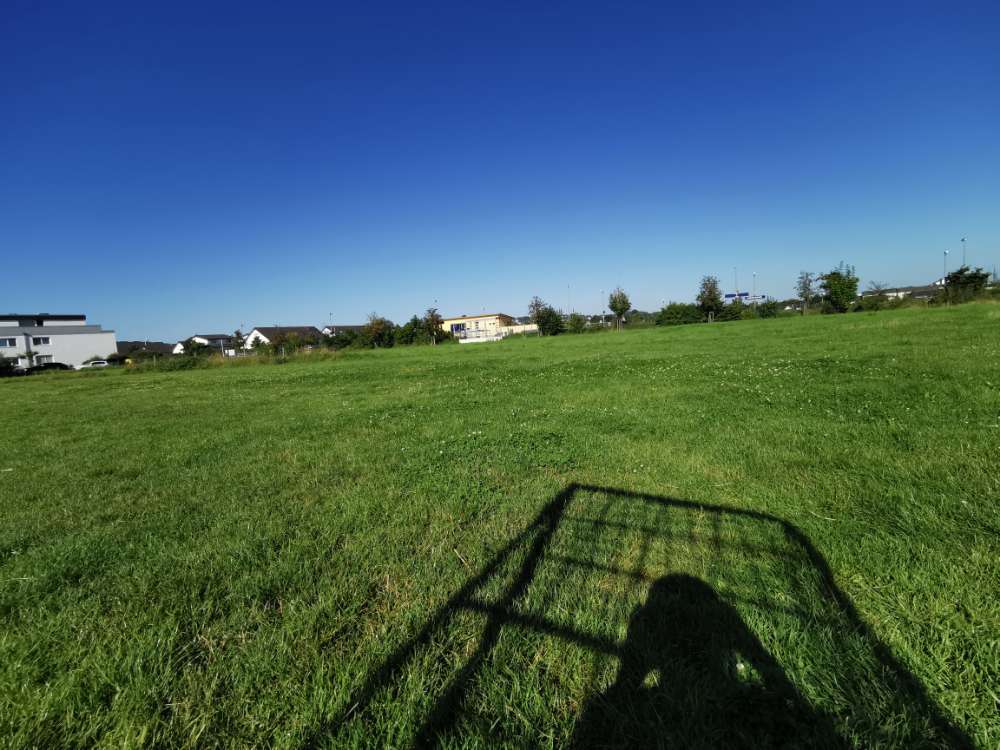 Hundetreffen-Play & Fun Meeting in Duisdorf-Profilbild