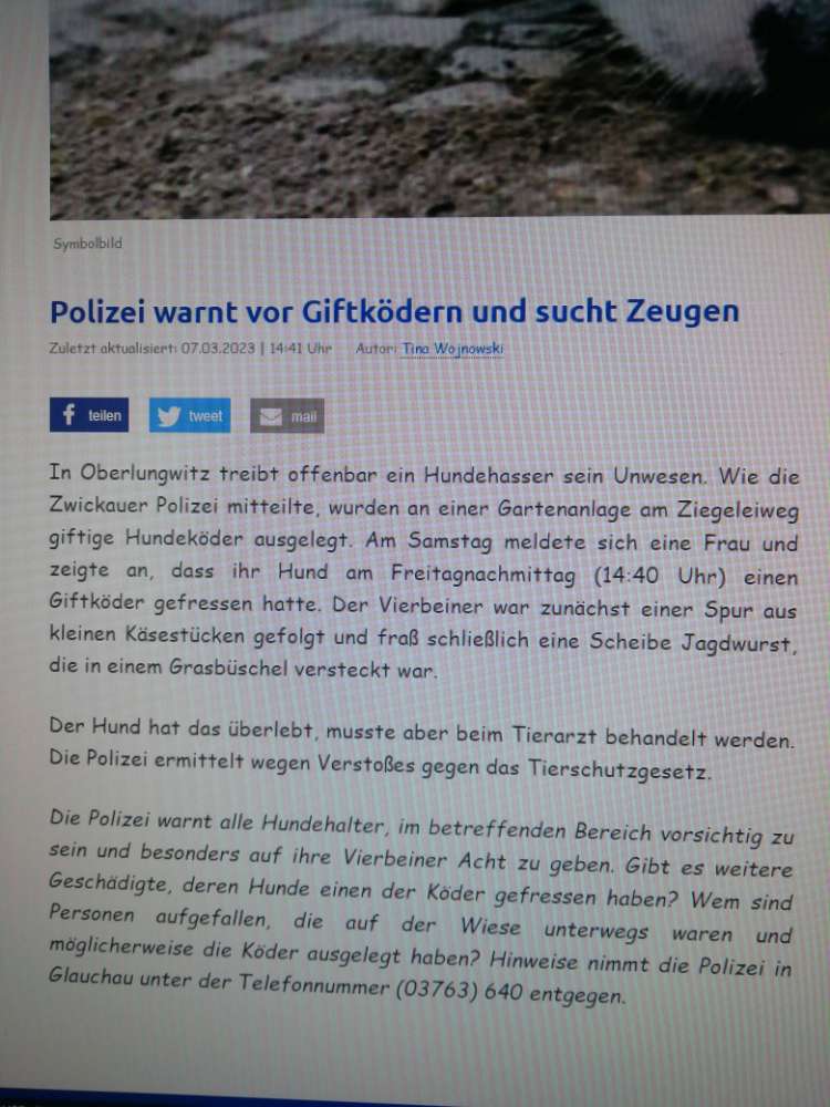 Giftköder-Giftköder aus Käse und Wurst-Profilbild