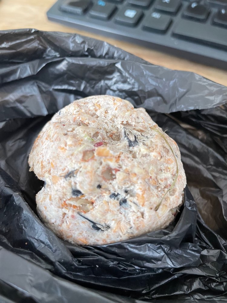 Giftköder-Möglicherweise Giftköder-Profilbild