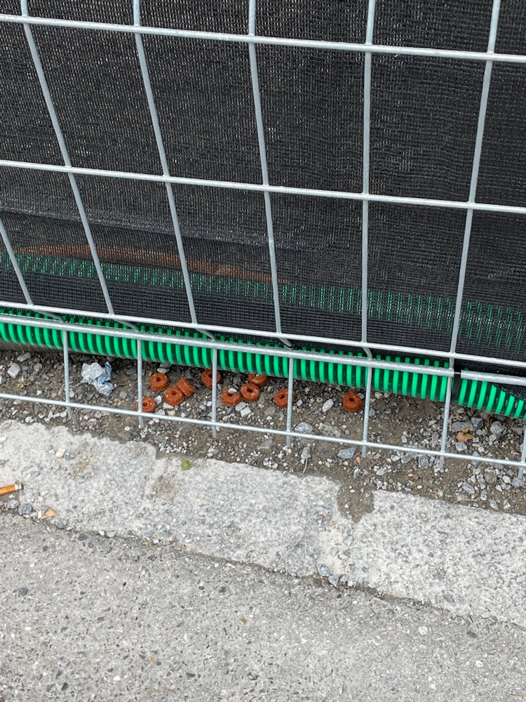 Giftköder-Grosse Hundefutter Stücke am Stadelhofen-Profilbild