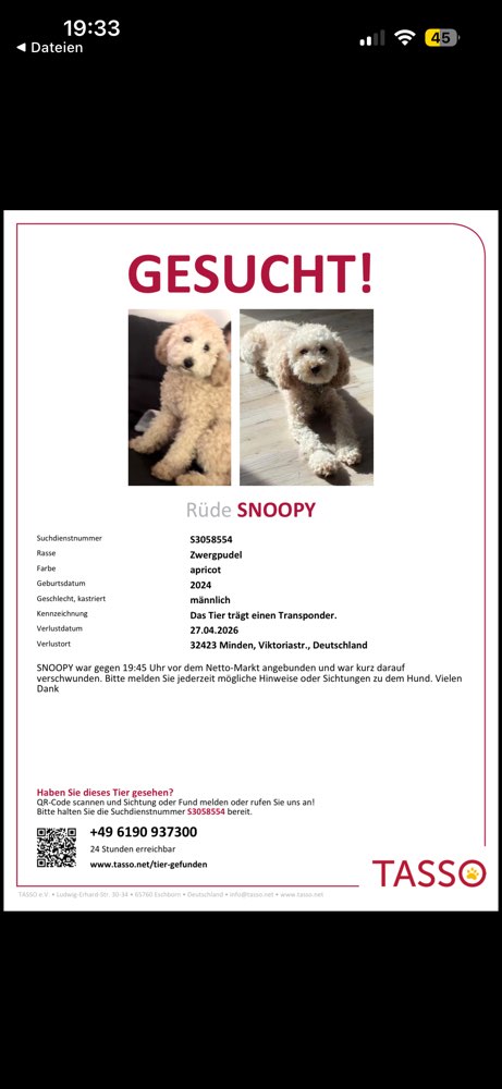 Suchmeldung-Snoopy-Profilbild