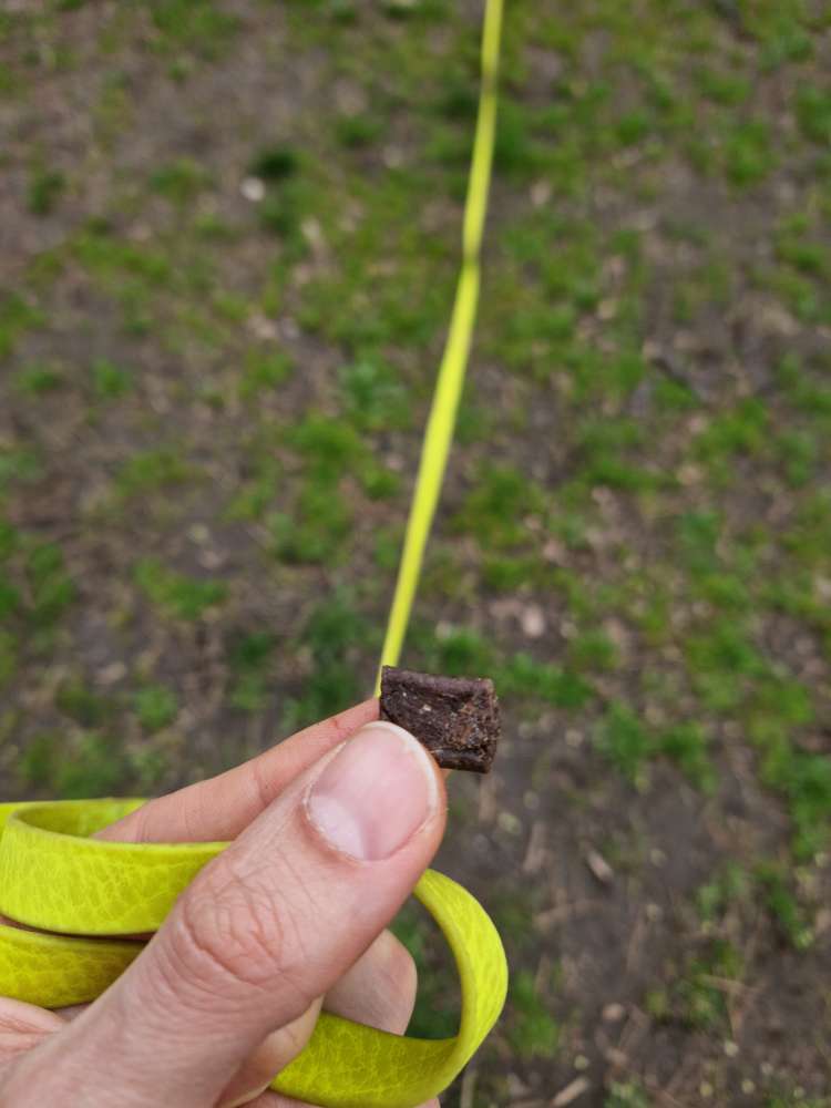 Giftköder-Fleischköder oder verlorene Leckerlis-Profilbild