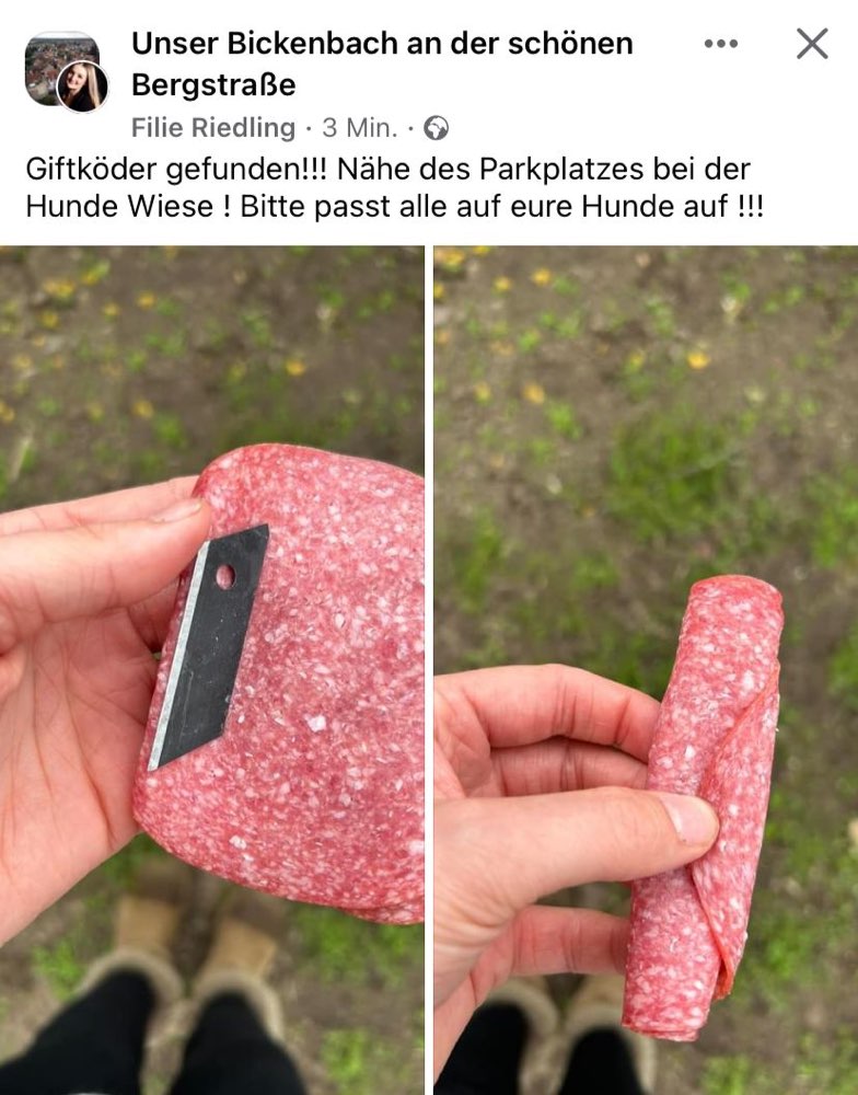 Giftköder-Köder mit Rasierklingen-Profilbild