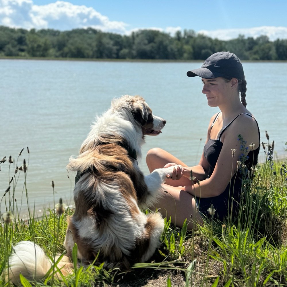 Hundetreffen-Trainings Buddies☀️🐶-Profilbild