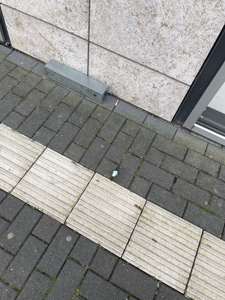 Giftköder-Gift-Profilbild