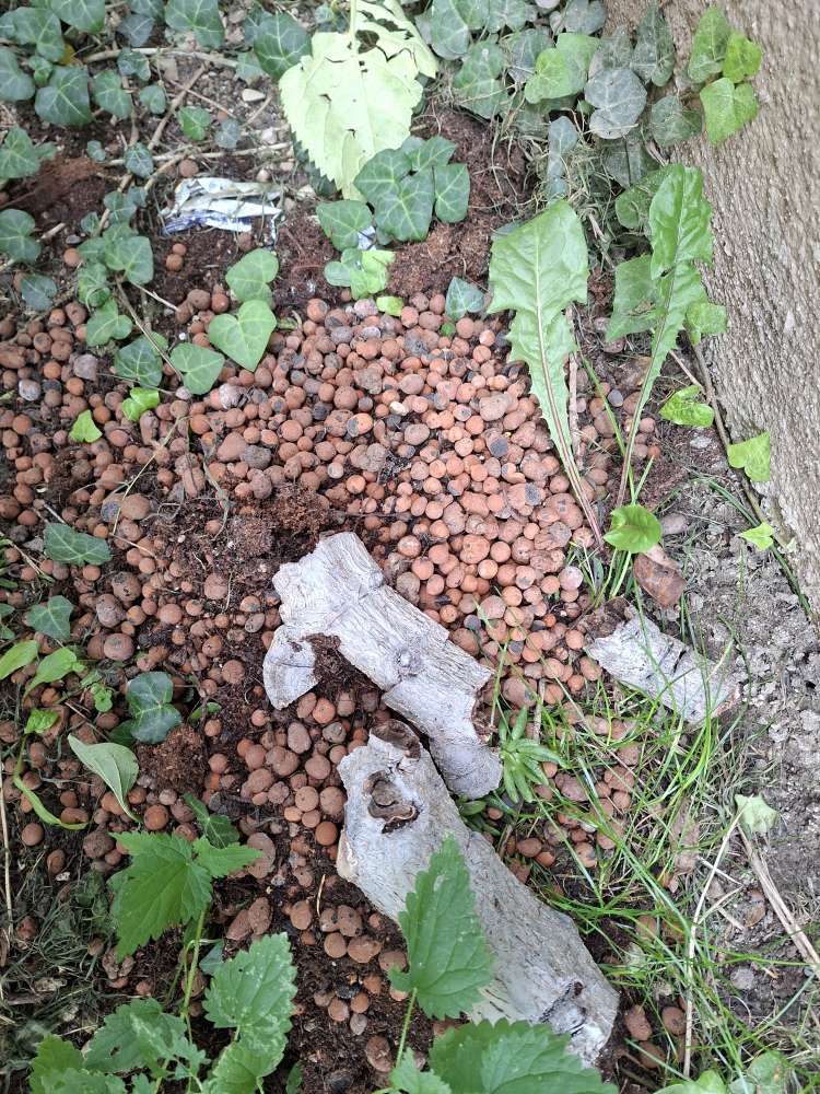Giftköder-Dünger und Blumenerde-Profilbild