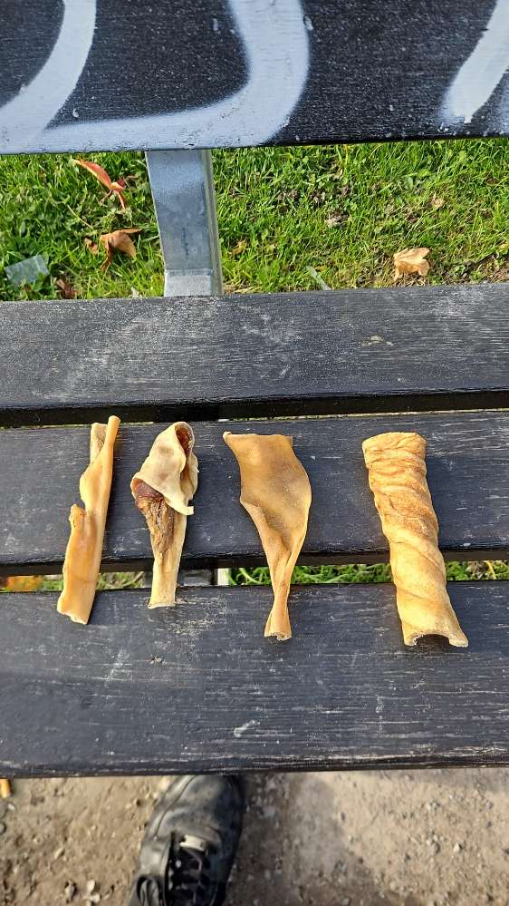 Giftköder-Giftköder - Kauartikel-Profilbild