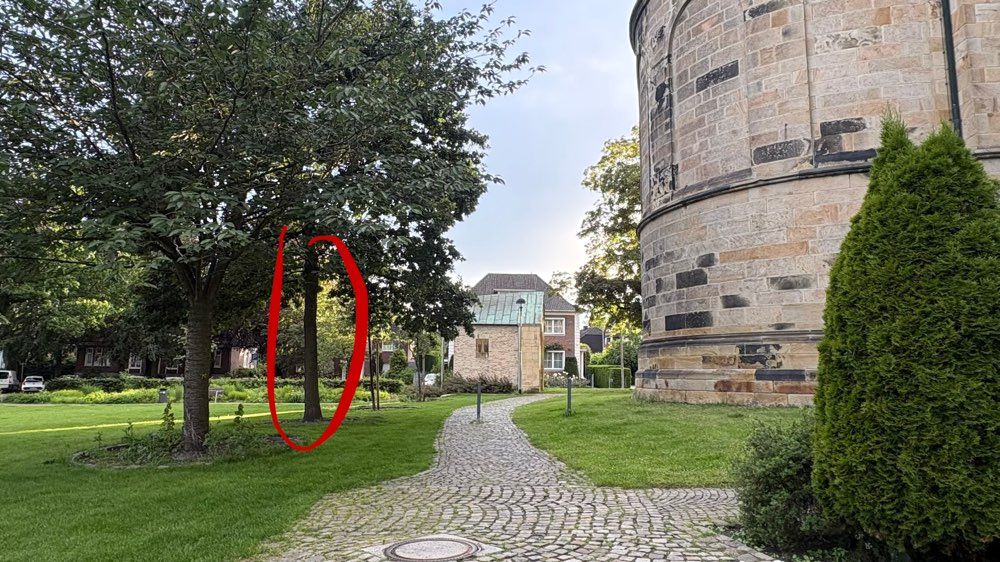 Giftköder-Eichenprozessionsspinner-Profilbild