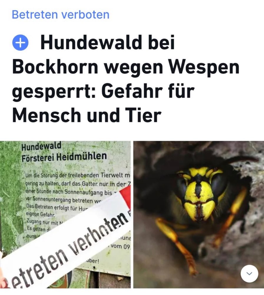 Giftköder-Wespengefahr-Profilbild