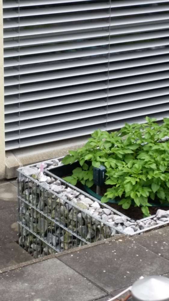 Giftköder-10 Tierschrecker ausgelegt-Profilbild