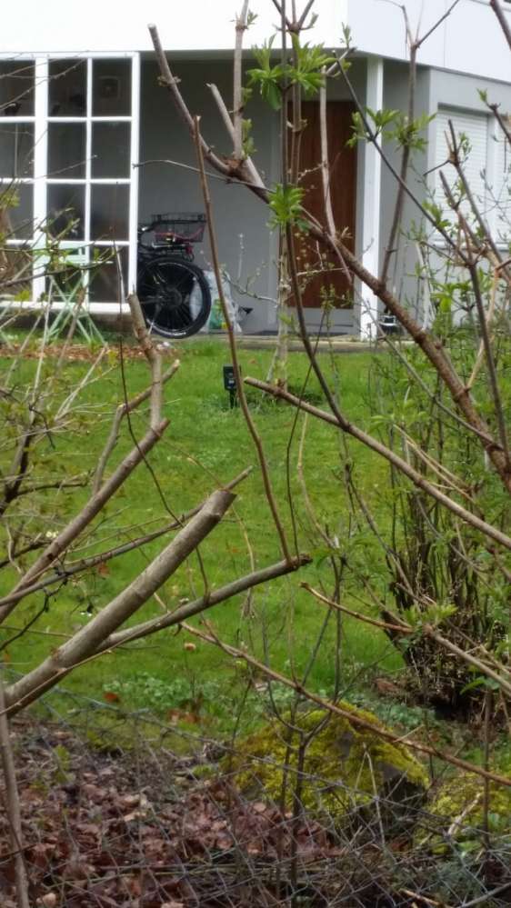 Giftköder-Tierschrecker auslegung-Profilbild