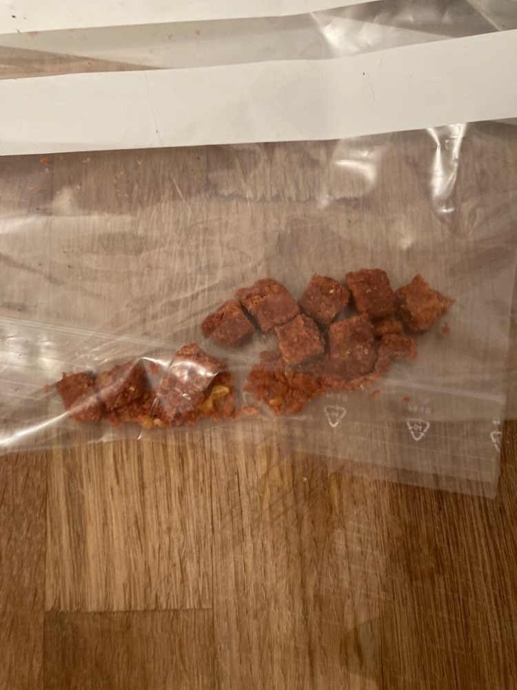 Giftköder-Versteckte Leckerlies-Profilbild