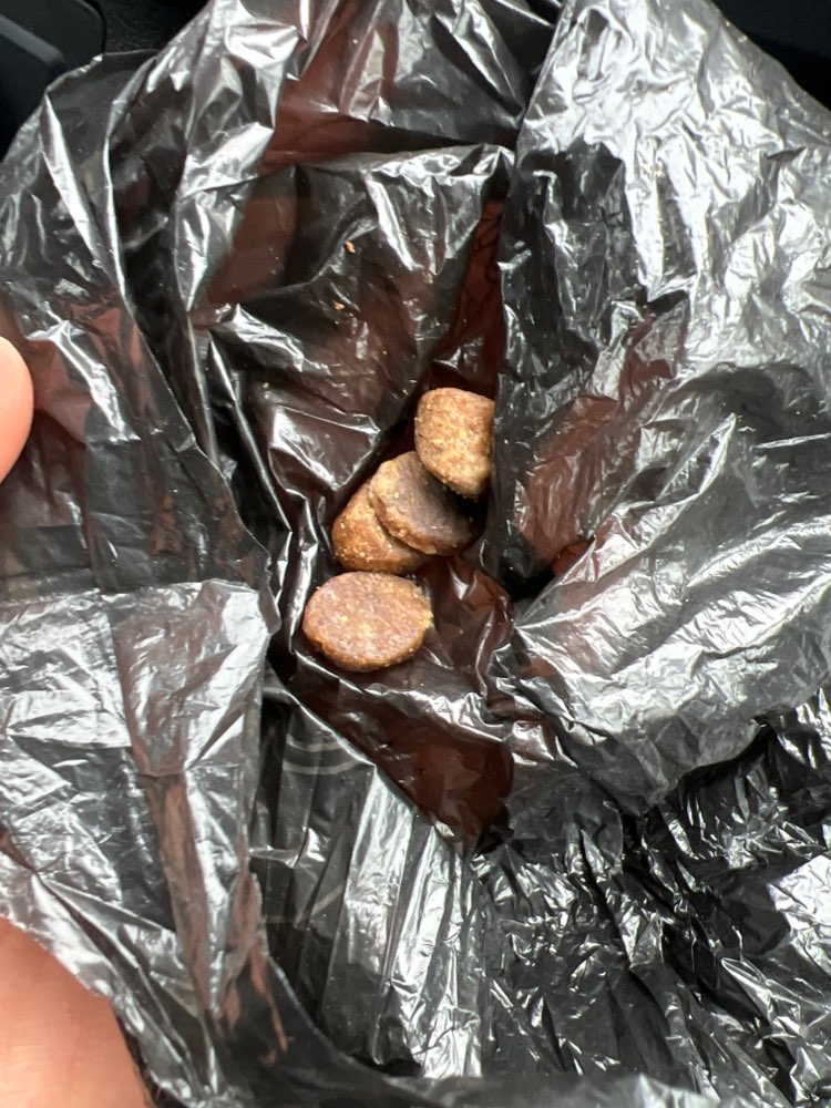 Giftköder-Futter im Öjendorfer Park-Profilbild