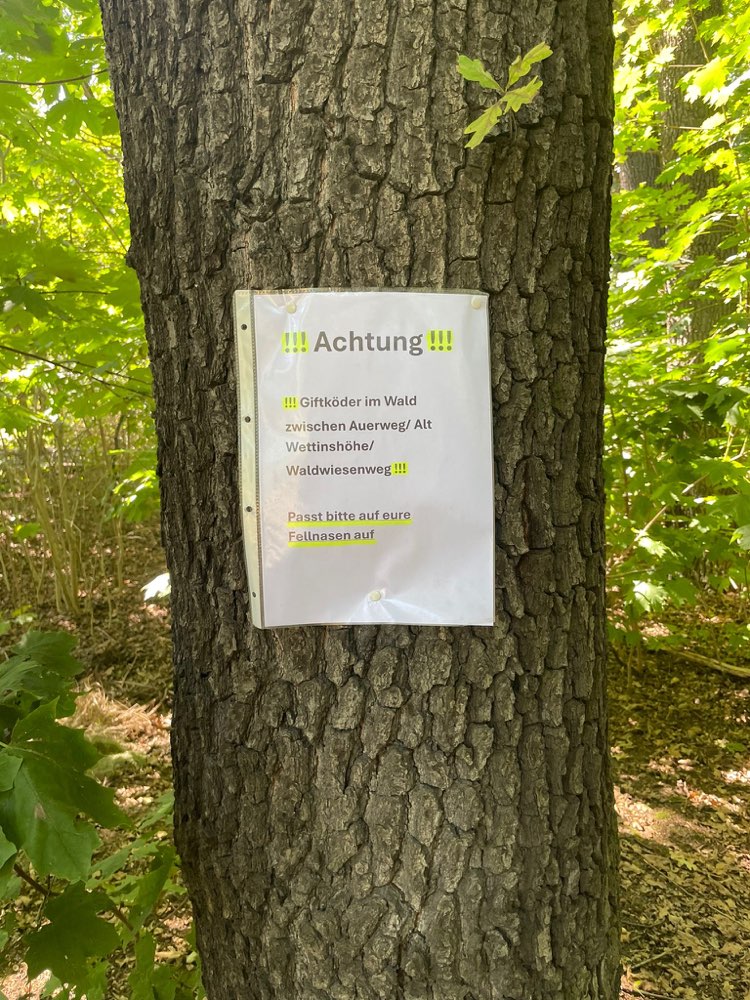 Giftköder-Giftköder im Wald bei Waldwiesenweg-Profilbild