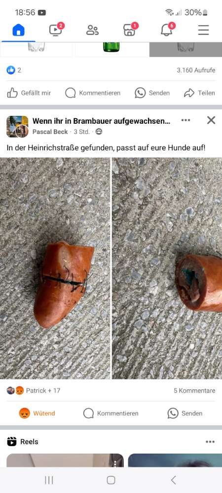 Giftköder-Gift-Profilbild