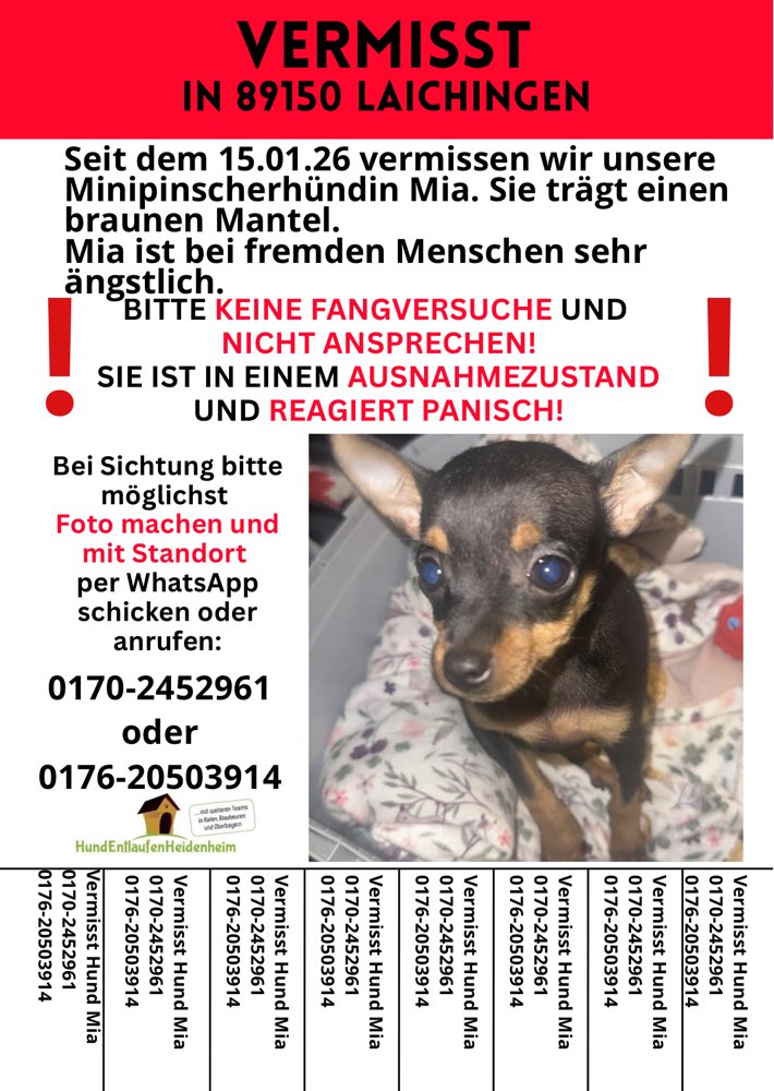 Suchmeldung-Mia-Profilbild