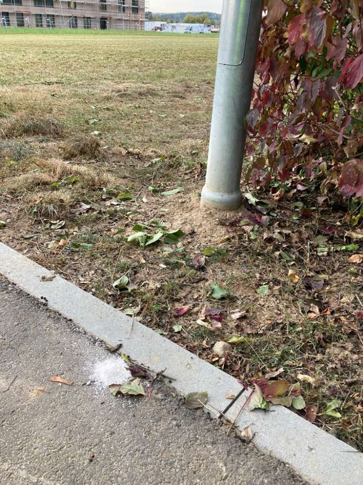 Giftköder-Weißes Pulver / Gift-Profilbild