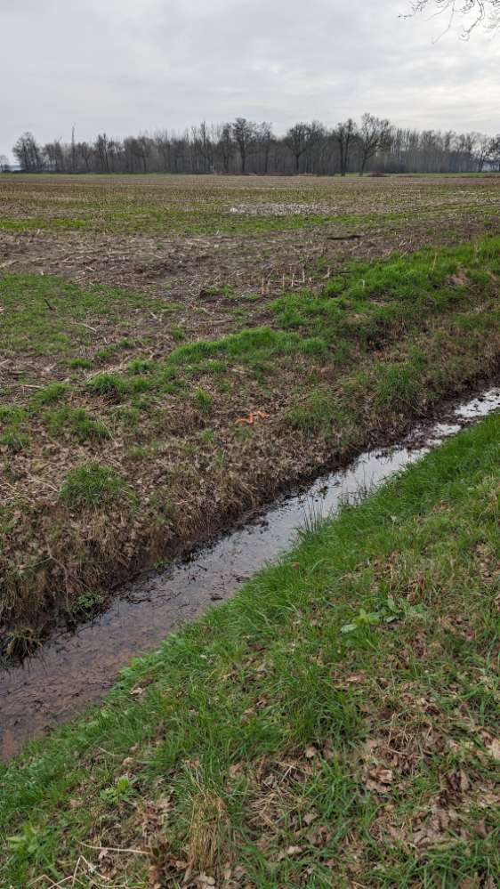 Giftköder-Wurst gefunden - Giftköder-Profilbild