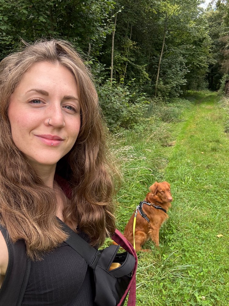 Hundetreffen-Gemeinsamer Spaziergang-Profilbild