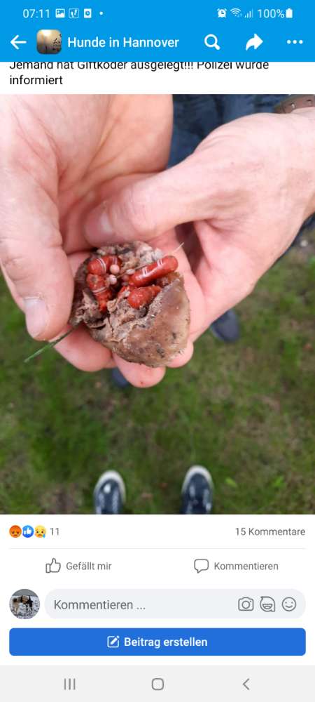 Giftköder-Giftköder-Profilbild