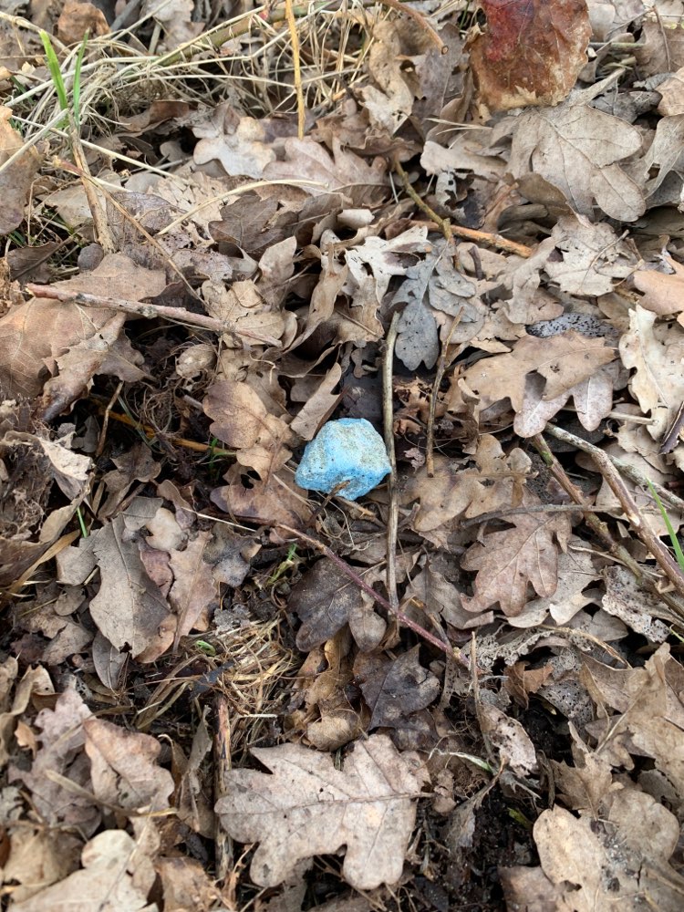 Giftköder-Undefinierbare Substanz-Profilbild