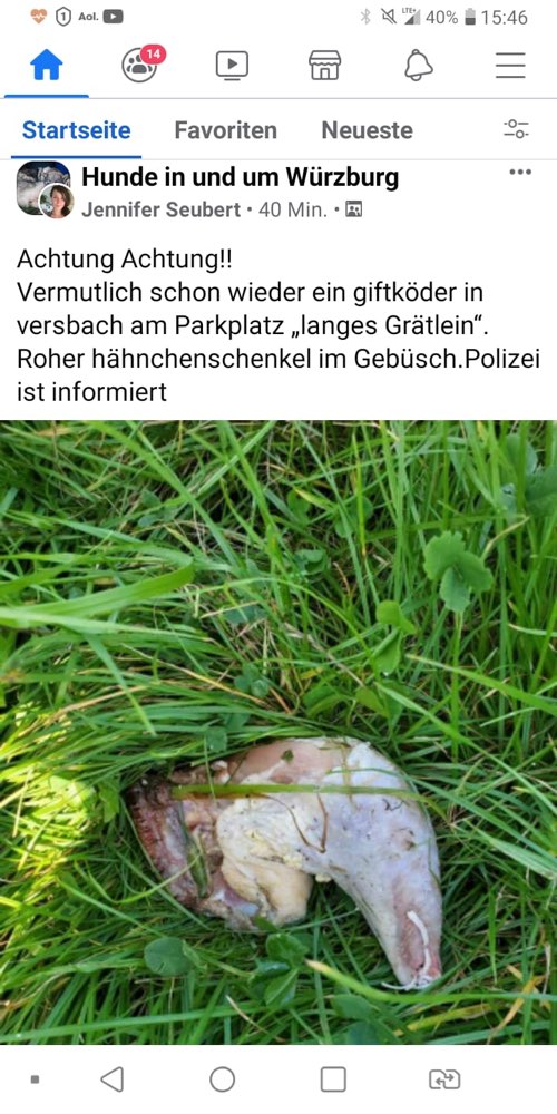 Giftköder-Hähnchenschenkel im Gebüsch-Profilbild