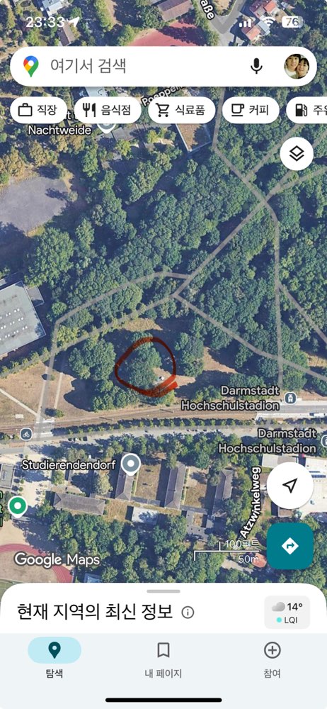 Giftköder-Eichenprozessionsspinner-Profilbild