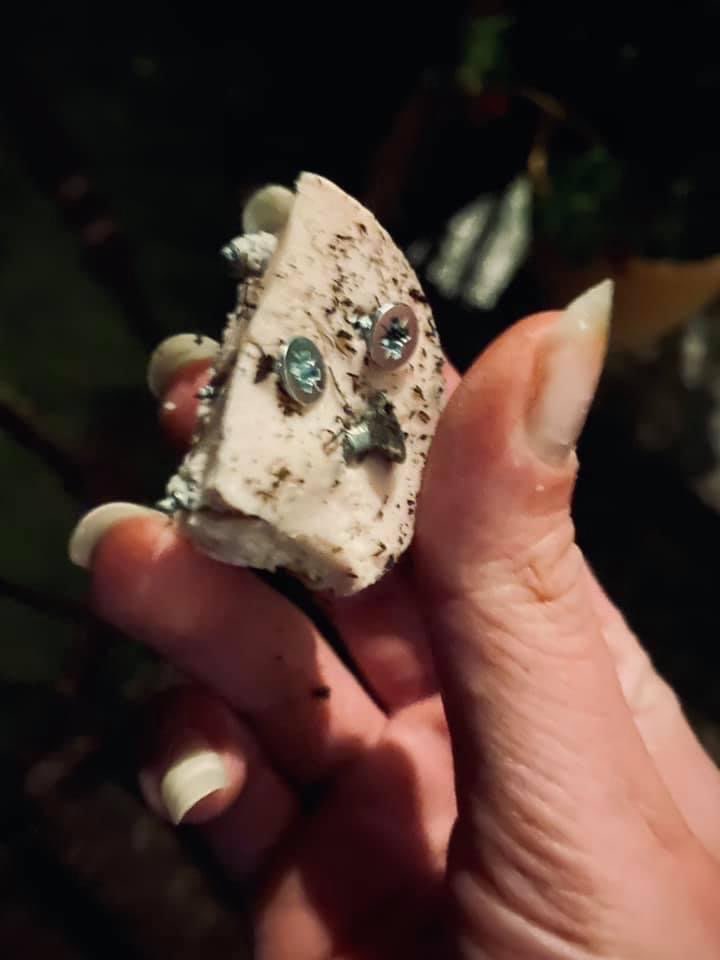 Giftköder-Schrauben in Hundefutter-Profilbild