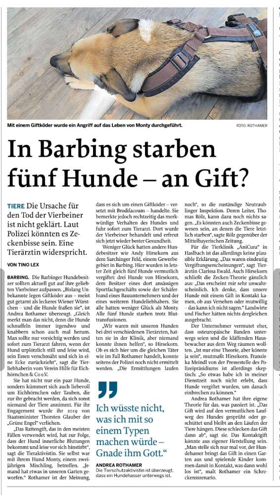 Giftköder-Giftköder-Profilbild