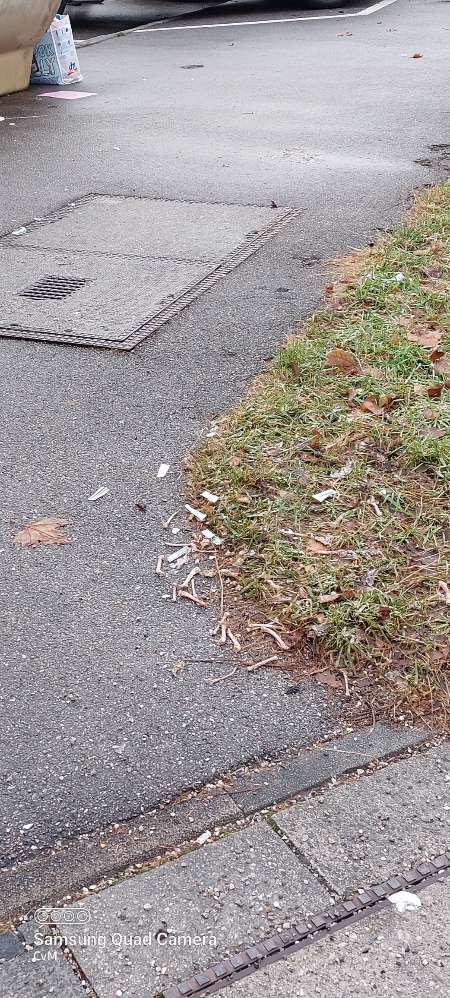 Giftköder-Hendlknochen-Profilbild