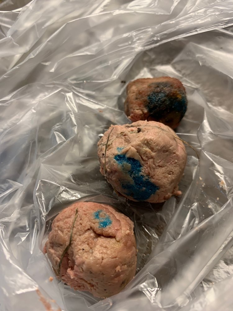 Giftköder-3 Giftköder gefunden-Profilbild