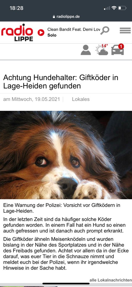 Giftköder-Giftköder nähe Sportplatz und Freibad-Profilbild