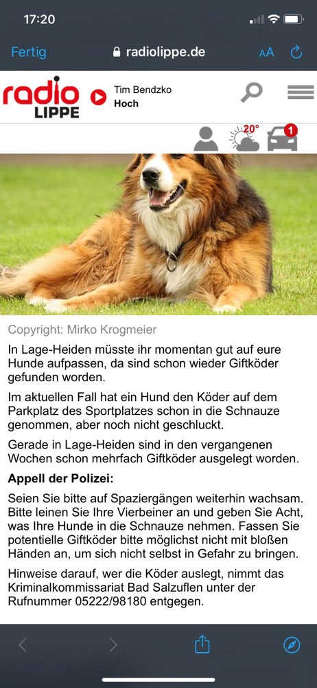 Giftköder-Schon wieder Giftköder in Lage-Heiden-Profilbild