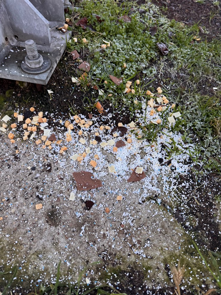 Giftköder-Giftköder-Profilbild