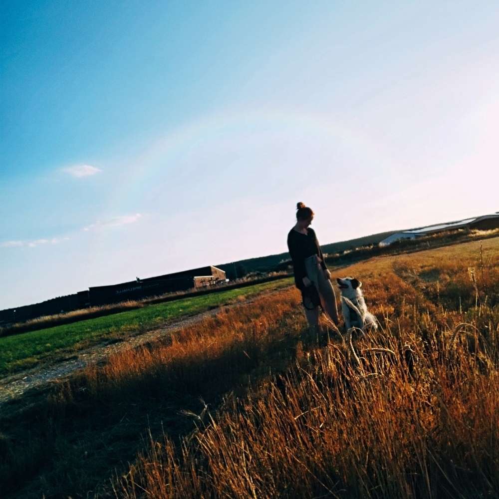 Hundetreffen-Gemeinsame Spaziergänge 🐶-Profilbild