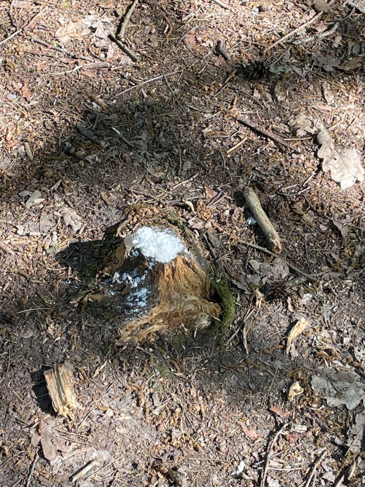 Giftköder-Weißes Pulver-Profilbild