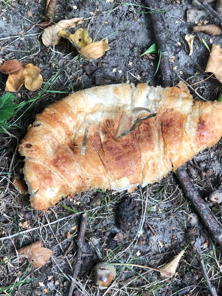Giftköder-Croissant mit Glassplitter-Profilbild