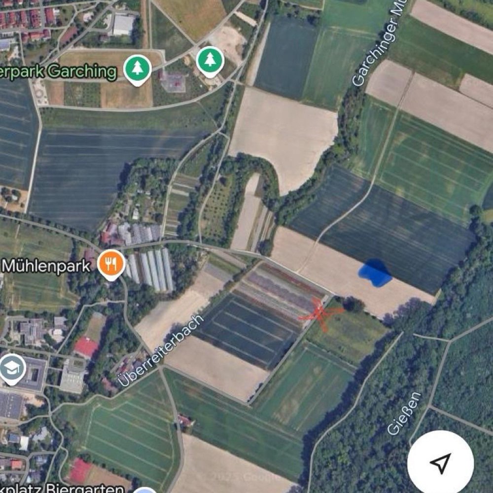 Giftköder-Wildschweine, trächtig, Frischlinge?-Profilbild